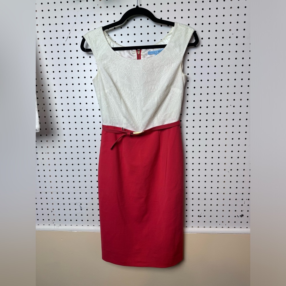 Antonio milani sophisticated dress